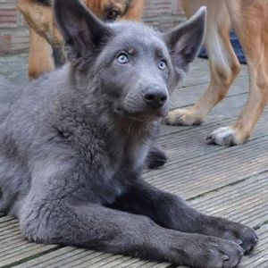 Meet your Posher, Brittney